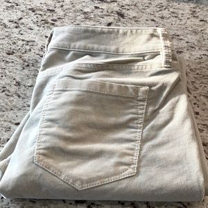 Loft Corduroy Pants 2Petite cream